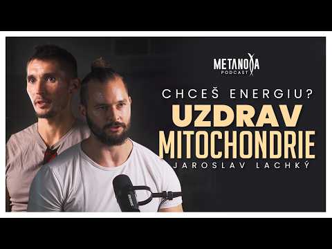 Tajomstvo tvojho zdravia a energie je v MITOCHONDRIÁCH | Metanoya Podcast | Jaroslav Lachký