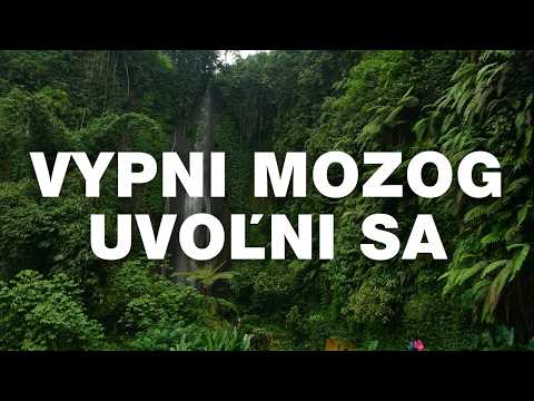 NeMeditácia "V objatí života" - 20min Bezspánkový hlboký odpočinok NSDR