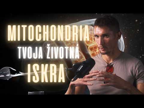 Skutočný zdroj života je vo vnútri tvojich buniek | Jaroslav Lachký & Metanoya